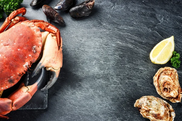Kokt krabba och färska ostron — Stockfoto