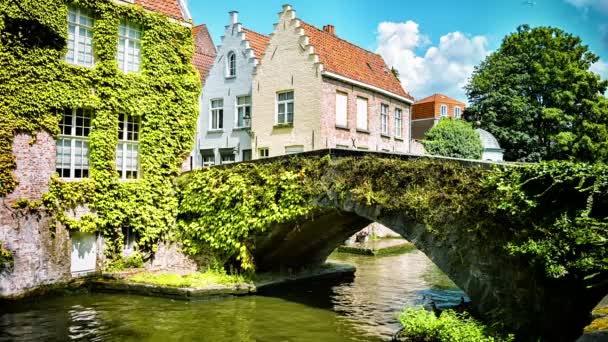 Eski köprünün ve tipik Flaman evleri — Stok video