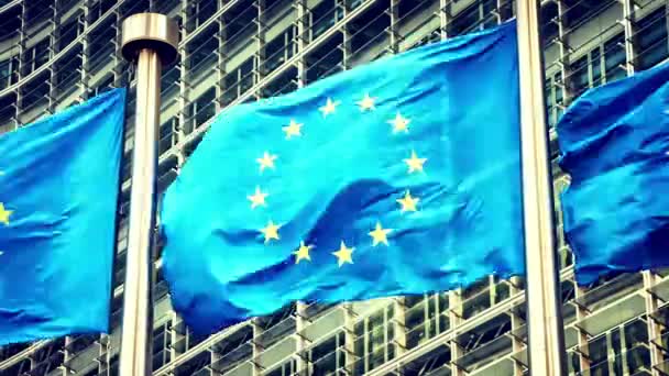 Banderas de la Unión Europea ondeando — Vídeo de stock