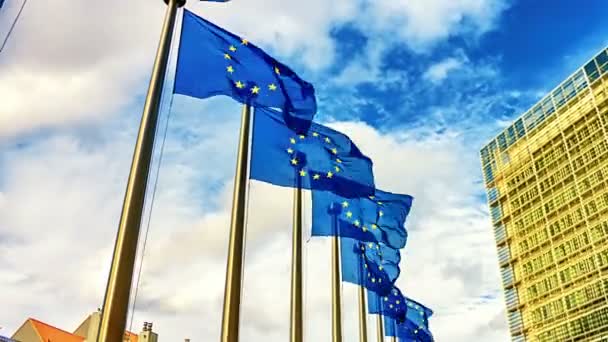 Bandeiras da União Europeia acenando — Vídeo de Stock