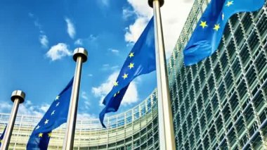 Avrupa Birliği bayrakları sallayarak