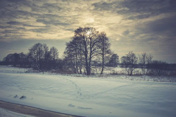 Winterliche Schneelandschaft. — Stockfoto