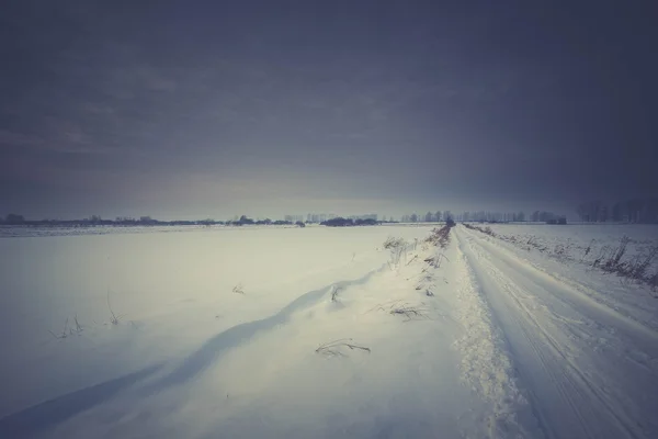 Kış Karlı Arazi. — Stok fotoğraf