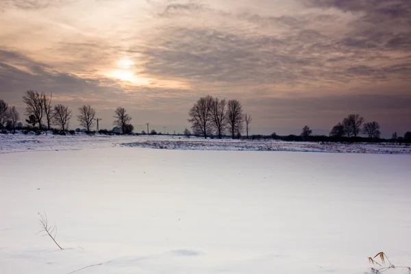 Winterliche Schneelandschaft. — Stockfoto
