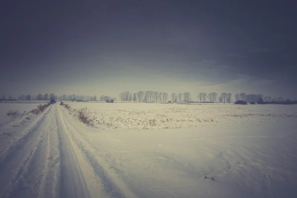 Winterliche Schneelandschaft. — Stockfoto