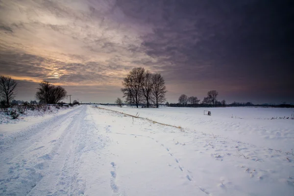 Зимний снежный пейзаж. — стоковое фото
