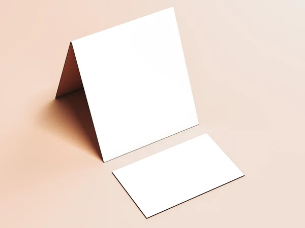 Beyaz broşür ve kartvizit — Stok fotoğraf