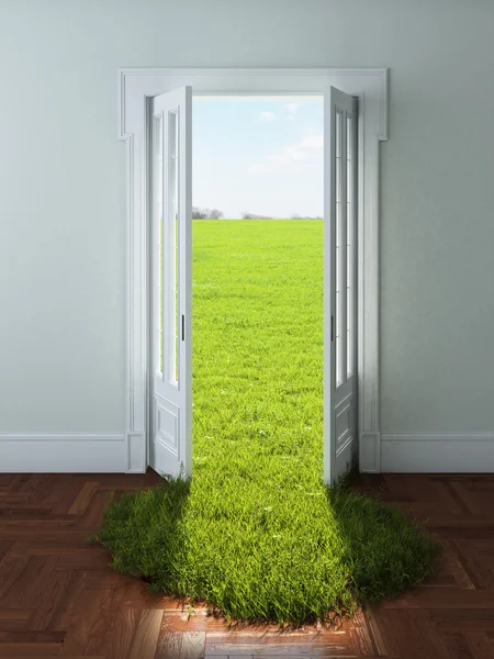 Door with bright green grass — Stock Photo, Image