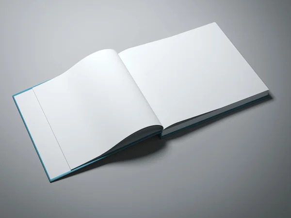 Livre ouvert avec pages blanches — Photo