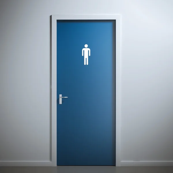 женский туалет дверь. дверь в уборную. женский туалет дверь. наклейка на дверь туалета. двери в общественные санузлы.