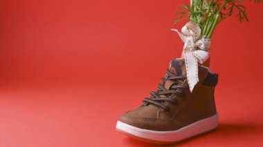 Hollanda bayramı Sinterklaas 