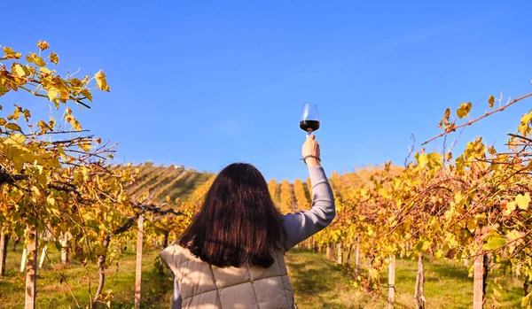 Žena se zasněným výrazem a sklenkou vína na farmě v Itálii. Nádherná vinice v kopcích Emmilia Romagna na podzim. — Stock fotografie