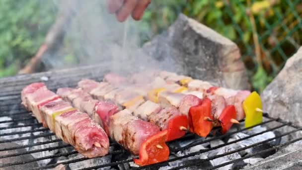 Grelha mista variada em espetos de madeira e vários vegetais assando na grelha de churrasco cozinhado para o jantar de família de verão — Vídeo de Stock