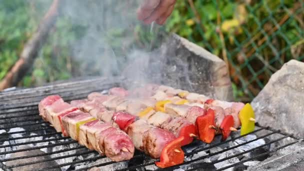 Grelha mista variada em espetos de madeira e vários vegetais assando na grelha de churrasco cozinhado para o jantar de família de verão — Vídeo de Stock