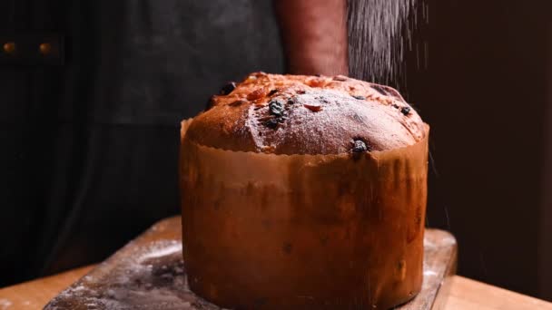 Panettone of Milan. Traditional Italian pastries for Christmas with dried fruits and almonds. Sweet festive bread sprinkled with icing sugar. — Stock Video