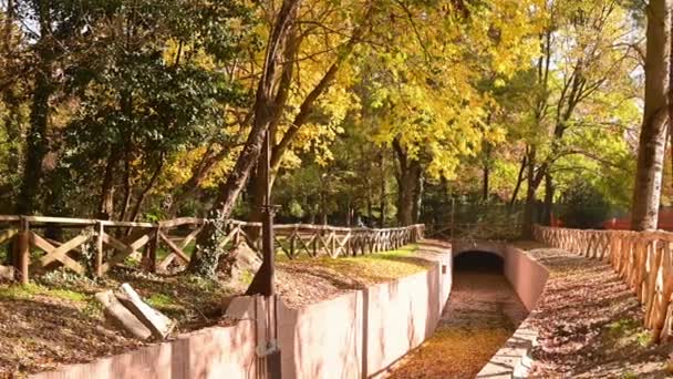 Rivière et pont à Autumn Park. Beaux arbres lumineux avec des feuilles jaune orangé. Naturel. Des images FullHD de haute qualité. — Video