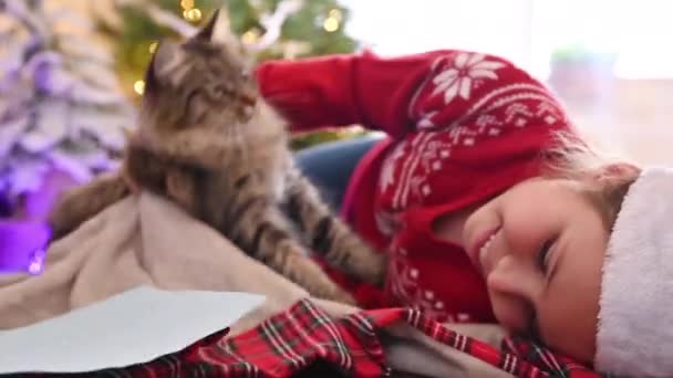 Kleines Mädchen und eine Katze neben dem Weihnachtsbaum mit einem Brief. Lustige Spiele mit Ihrem Haustier zu Weihnachten. — Stockvideo