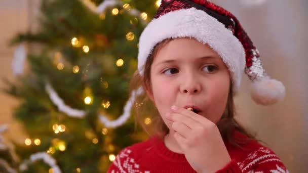 Το κοριτσάκι τρώει χριστουγεννιάτικα μπισκότα κοντά στο χριστουγεννιάτικο δέντρο. Ευτυχισμένο παιδί με καπέλο και κόκκινο πουλόβερ. — Αρχείο Βίντεο