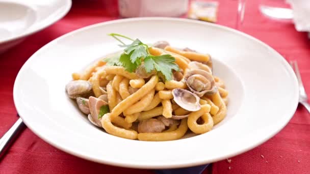 Passatelli pasta med vongole och svamp med ostsås. Lunch med skaldjur. — Stockvideo