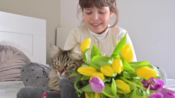 Bir buket parlak lalesi ve tüylü kedisi olan küçük bir kız. 8 Mart 'ta Anneler Günü' nde anneler için çiçek. Annem için bir gün hediyesi. — Stok video