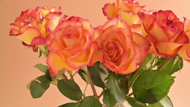 Egy csokor vörös és sárga rózsa mozog a keretben. Ajándék egy nőnek, anyának vagy nagymamának. Lassú mozgás.. — Stock videók