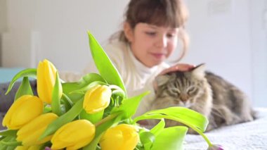 Bir buket parlak lalesi ve tüylü kedisi olan küçük bir kız. 8 Mart 'ta Anneler Günü' nde anneler için çiçek. Annem için bir gün hediyesi.