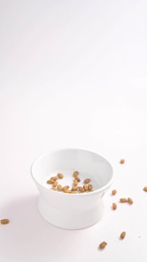 Kuru yiyecekler beyaz arka planda bir fincana doldurulur. Evcil hayvan maması. Sosyal medya için dikey video. Yavaş çekim