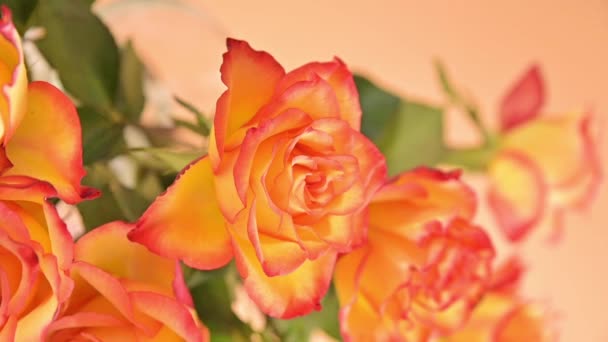 Egy csokor vörös és sárga rózsa mozog a keretben. Ajándék egy nőnek, anyának vagy nagymamának. Lassú mozgás.. — Stock videók