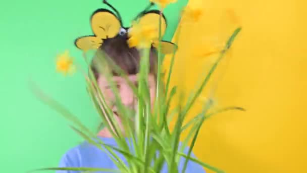 少女は緑の背景に黄色の水仙の後ろに隠れていた。蜂の帽子をかぶった幸せな子供は庭の花のポットを保持しています。春の庭での植え付け季節。選択的焦点 — ストック動画