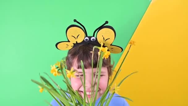 Een klein meisje verborg zich achter gele narcissen tegen een groene achtergrond. Gelukkig kind met bijenkappen houdt een pot tuinbloemen vast. Plantseizoen in de tuin in het voorjaar. Selectieve focus — Stockvideo