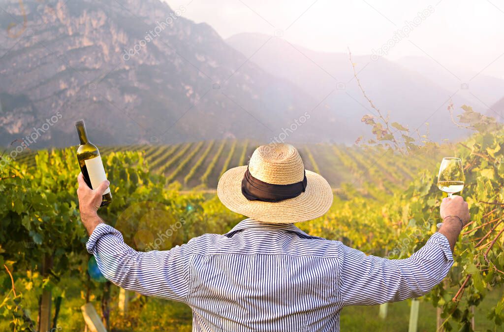 Man with a glass, bottle of white wine in the vineyards of Italy.