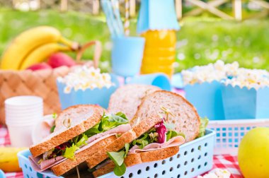 Parkta, yeşil çimlerin üzerinde öğle yemeği. Yaz güneşli bir gün ve piknik sepeti