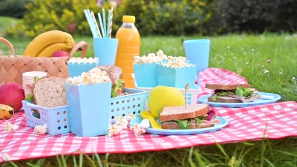 Lunch in the park on the green grass. Summer sunny day and picnic basket — Stock Video