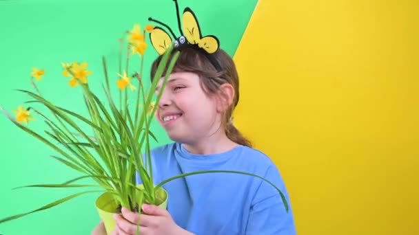 A little girl hid behind yellow daffodils against a green background. Happy child with bee caps is holding a pot of garden flowers. Planting season in the garden in spring. Selective focus — Stock Video