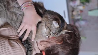 çocuk ve kedi. Bir çocuğun kollarında pofuduk kedinin yakın çekimi 
