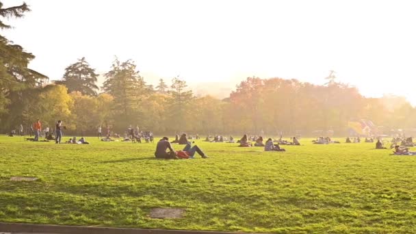 La luce del sole nel parco. Veduta dei giovani seduti su un tappeto per il tempo libero in un parco cittadino — Video Stock