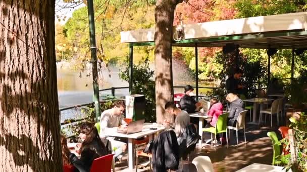 Dívka v kavárně v parku sedí u stolu u rybníka. Sluneční světlo a silueta mladé ženy zezadu. — Stock video