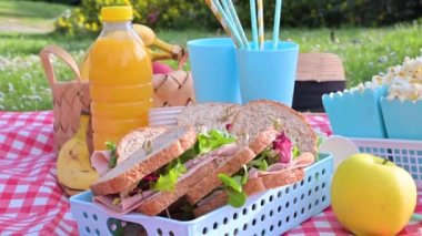Yeşil çimlerin üzerinde parkta piknik. Yaz güneşli bir gün ve piknik sepeti
