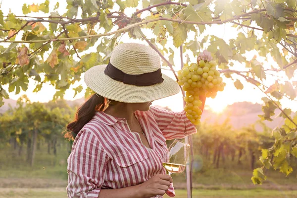 Giovane donna con un bicchiere di vino bianco nei vigneti d'Italia. Persona che versa vino. Spazio libero per il testo. — Foto Stock