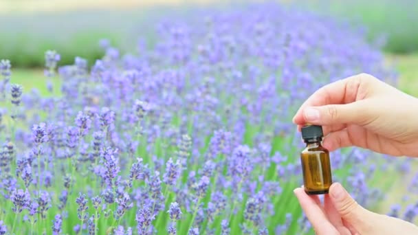 Minyak lavender esensial dalam botol yang indah pada — Stok Video