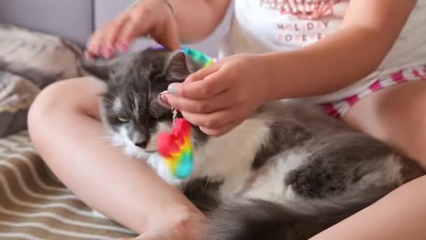 Kleines Mädchen spielt mit Pop it sensorischem Spielzeug. Das Baby klickt auf bunte regenbogenweiche Silikonblasen. — Stockvideo