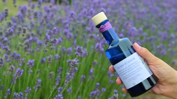 Aceite esencial de lavanda en hermosa botella en — Vídeos de Stock