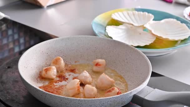Şef sağlıklı gurme yemekleri hazırlıyor, tavada kızartılmış deniz tarakları. Geleneksel bir Fransız yemeği ve İtalyan deniz yiyeceği. — Stok video