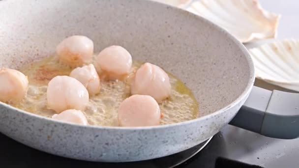 Chef preparing healthy gourmet food, seared scallops in a frying pan. A traditional dish of france and italy sea food — Stock Video