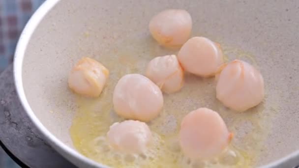 Chef préparant des aliments gastronomiques sains, pétoncles poêlés dans une poêle. Un plat traditionnel de france et de fruits de mer italiens — Video