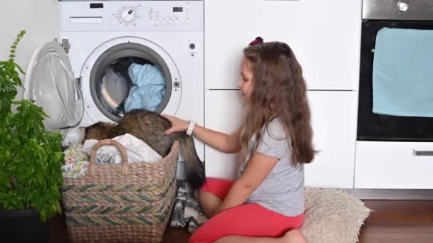 Kleines Mädchen und Waschmaschine. Das Kind hilft seiner Mutter bei der Hausarbeit. — Stockvideo