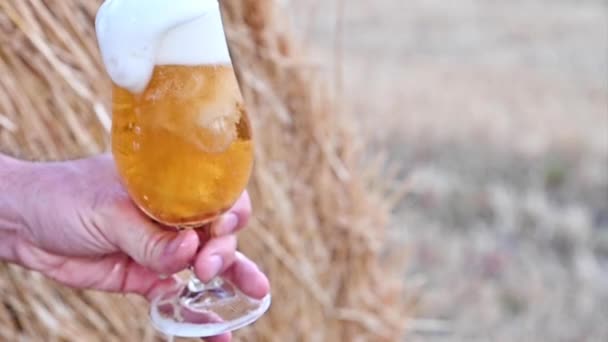 Beer. Cold Craft light Beer in a glass with water drops. — Stock Video