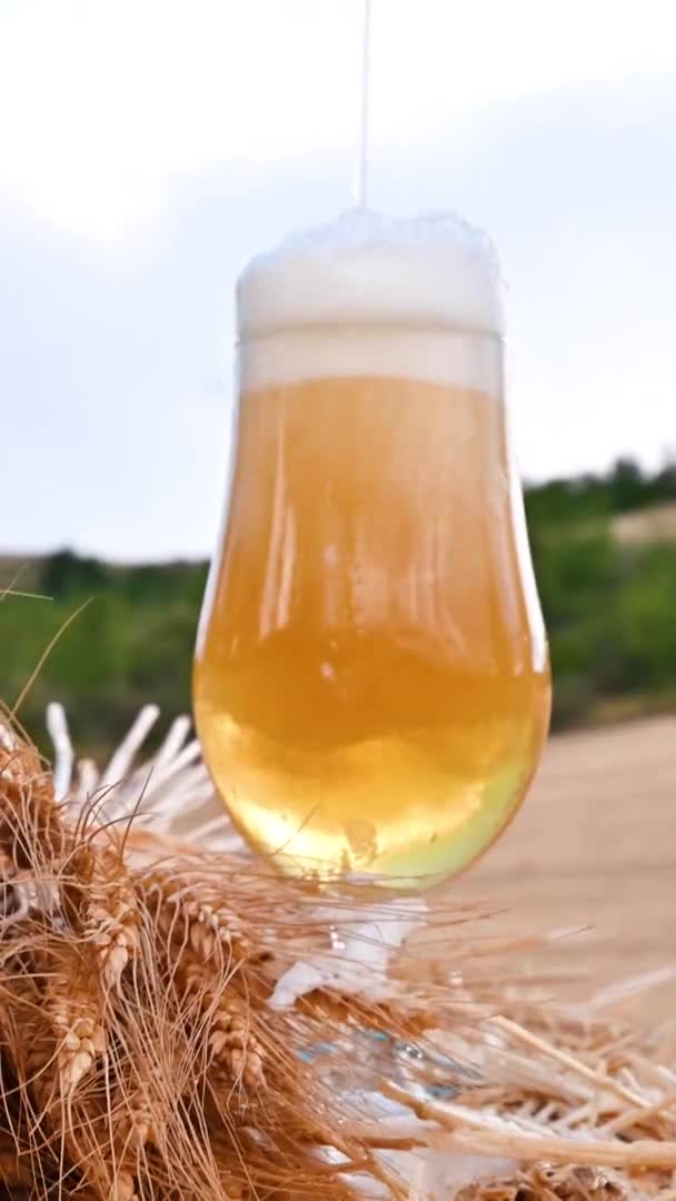 Een biertje. Cold Craft light Bier in een glas met waterdruppels. — Stockvideo