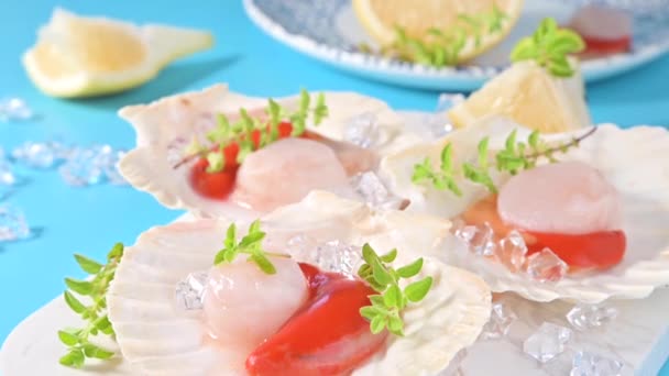 Chef preparing healthy gourmet food, seared scallops with caviar on on a beautiful dish in shellfish shells. A traditional dish of france and italy sea food — Stock Video