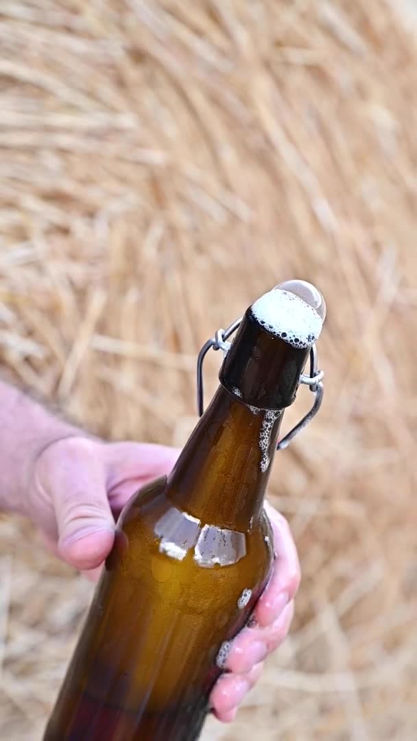 Cold Craft light Öl i flaskan med vattendroppar. — Stockvideo